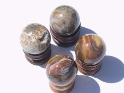 Petrified Wood Spheres (45mm)