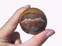Petrified Wood Spheres (45mm)