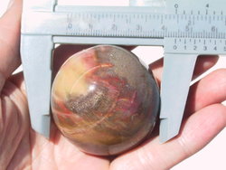 Petrified Wood Spheres (45mm)