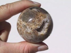 Petrified Wood Spheres (45mm)