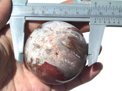 Petrified Wood Spheres 55 mm 5pc Lot