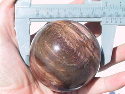 Petrified Wood Spheres 60 mm 2pc Lot