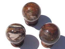 Petrified Wood Spheres (60mm)