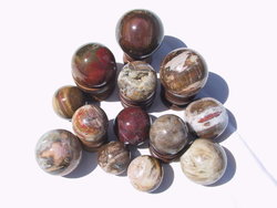 Petrified Wood Spheres (40-60mm) 5 LB Lot