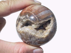 Petrified Wood Spheres (40-60mm) 5 LB Lot