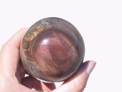 Petrified Wood Spheres (40-60mm) 5 LB Lot