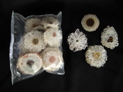 Quartz Stalactite Slice (3-5cm) - 5pcs