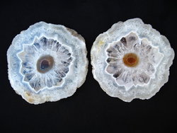 Quartz Stalactite Slice (5-7cm) - 4bags (100pcs)