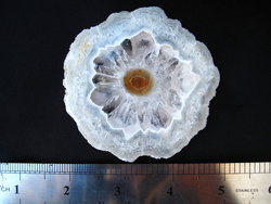 Quartz Stalactite Slice (5-7cm) - 4bags (100pcs)