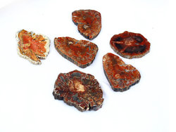 Red Petrified Wood Slice (1-3 inch) - 40 LB Lot