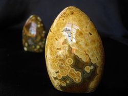 Sea Jasper Dome Shape 5pcs