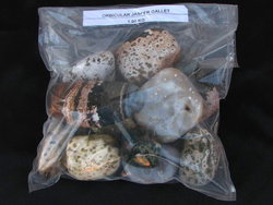 Sea Jasper Gallet 5LB Lot