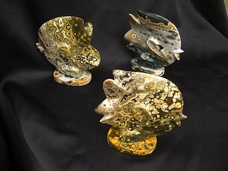 Sea Jasper Sunfish