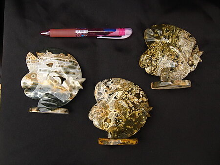 Sea Jasper Sunfish
