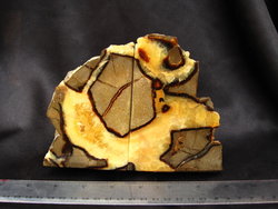 Septarian Bookends (1-3kg) - 25 pairs