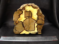 Septarian Bookends (3-5kg) - 25 pairs