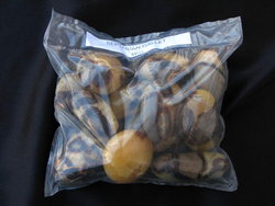 Septarian Gallet 1 LB Lot