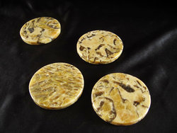 Zebradorite Coasters 4PC - 10 Sets