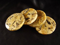 Zebradorite Coasters 4PC - 10 Sets
