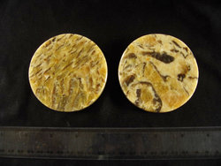 Zebradorite Coasters 4PC - 10 Sets