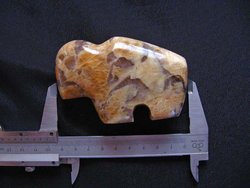 Zebradorite Fetish Buffalo 36pcs (2flats)