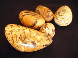 Zebradorite Gallet