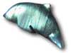 Labradorite Small Dolphin - Simple Shape