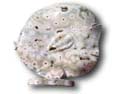 Sea Jasper Sun Fish Carving