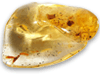 Copal (80 - 100 grams/pc) - 2pc