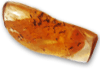 Copal (30 - 40 grams/pc)
