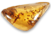 Copal (40 - 50 grams/pc) - 2pc