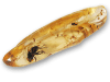 Copal (5 - 10 grams/pc) - 2pc