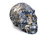 Indigo Gabbro Skull