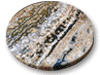 Sea Jasper Coasters