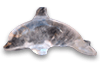 Quartz Crystal Small Dolphin New Shape