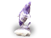 Amethyst Banded Curled Tail Dolphin