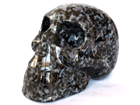 Indigo Gabbro Skull