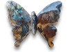 Labradorite Butterfly - Small - 5pcs