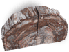 Petrified Wood Bookends (3-5Kg) - AA