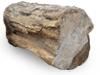 Petrified Wood Log