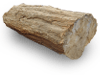Petrified Wood Log