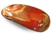 Petrified Wood Massage Tools - Round Design