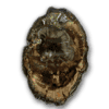 Petrified Wood Slices (7-10) AA 5LB
