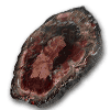 Petrified Wood Slices (7-8