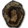 Petrified Wood Slices (9-10)AA 1pc