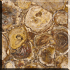 Petrified Wood Tile - longitudinal Cut (60 x 60 cm)