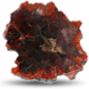 Red Petrified Wood Slices (5-7) - 1pc