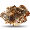 Petrified Wood Slices (5-7) AA Quality - 1pc