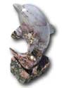 Orbicular Jasper - Curled Tail