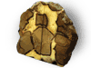 Septarian Bookends (3-5kg)